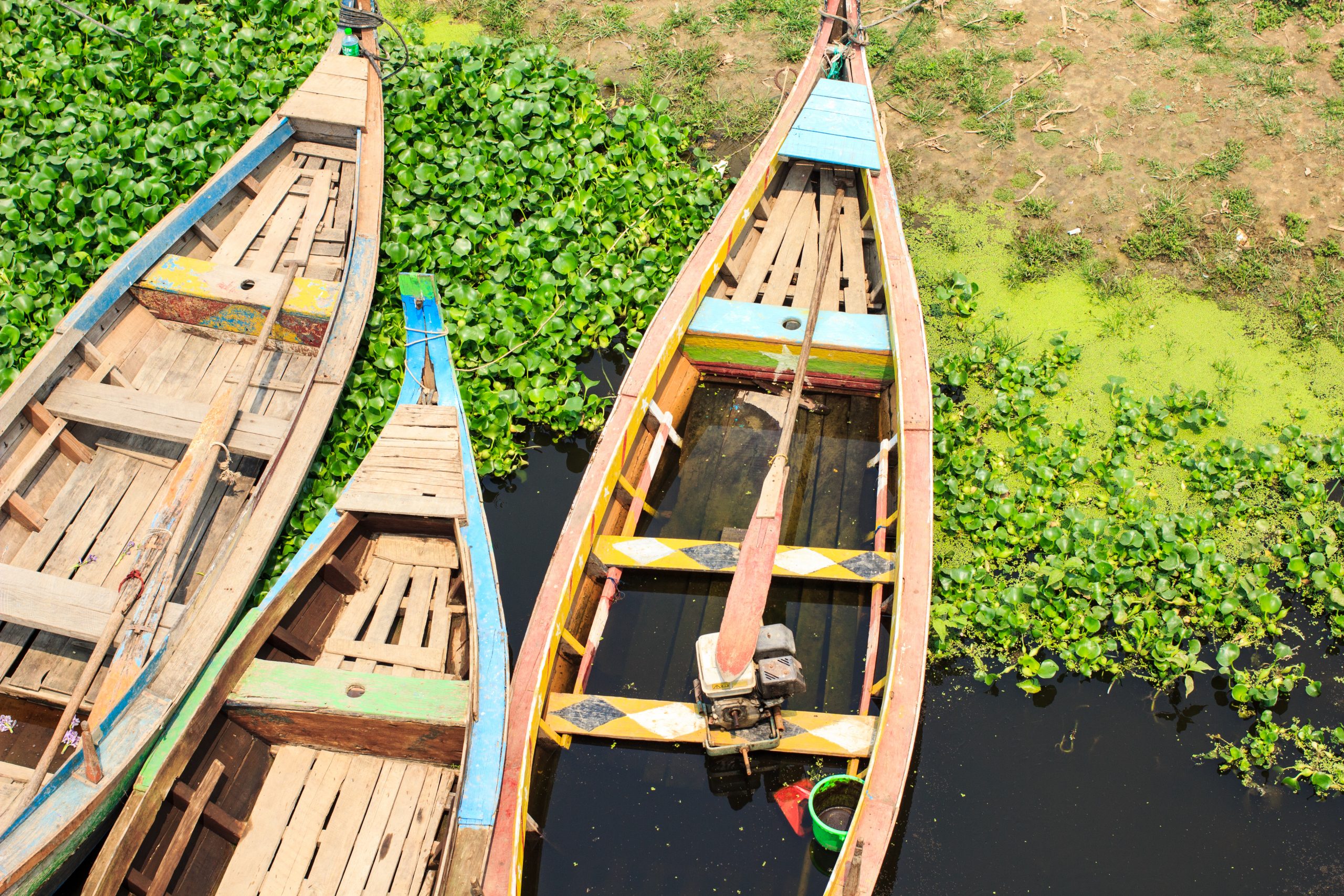Myanmar: The Comeback Kid of Coffee